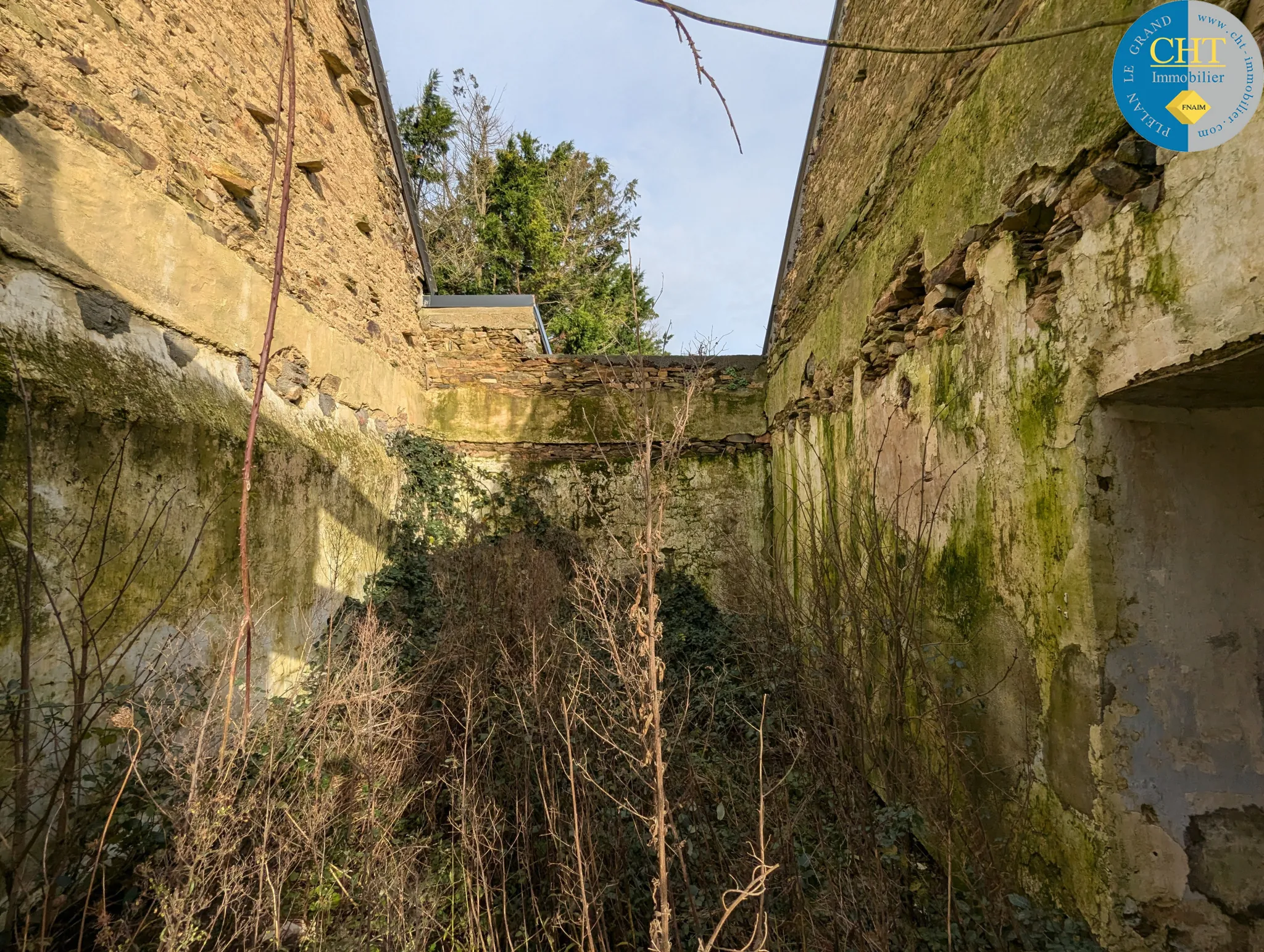 Maison en pierre à rénover à Tréal - Terrain arboré de 3750 m² 