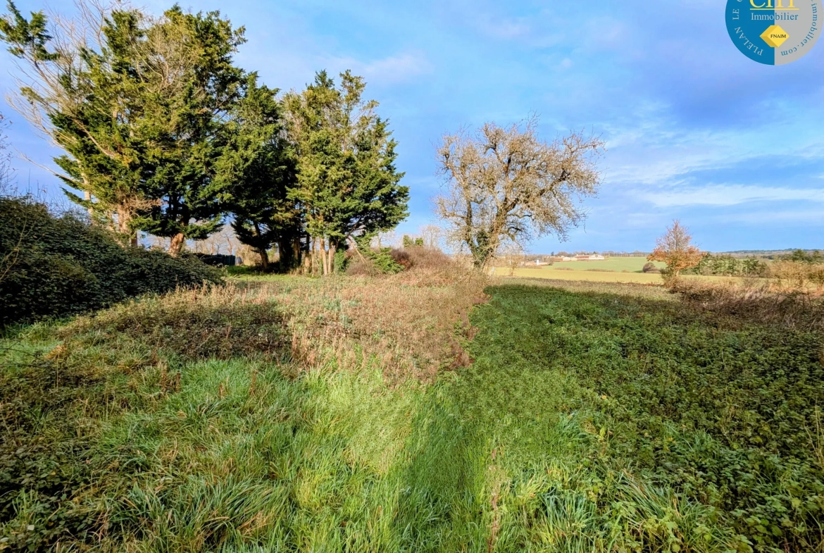 Maison en pierre à rénover à Tréal - Terrain arboré de 3750 m² 