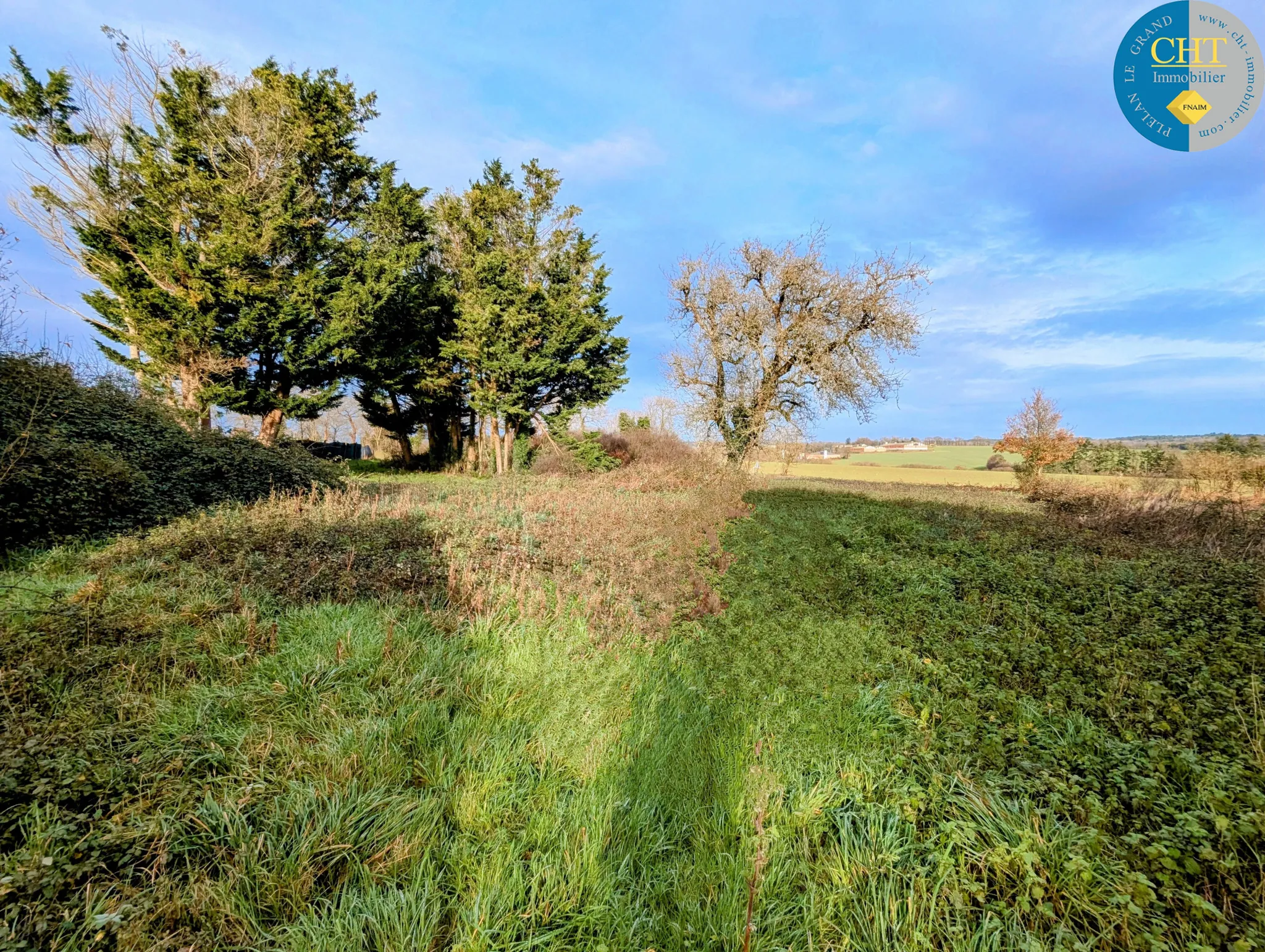 Maison en pierre à rénover à Tréal - Terrain arboré de 3750 m² 