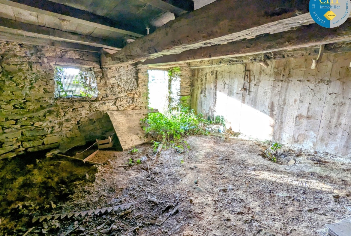Maison en pierre à rénover à Tréal - Terrain arboré de 3750 m² 