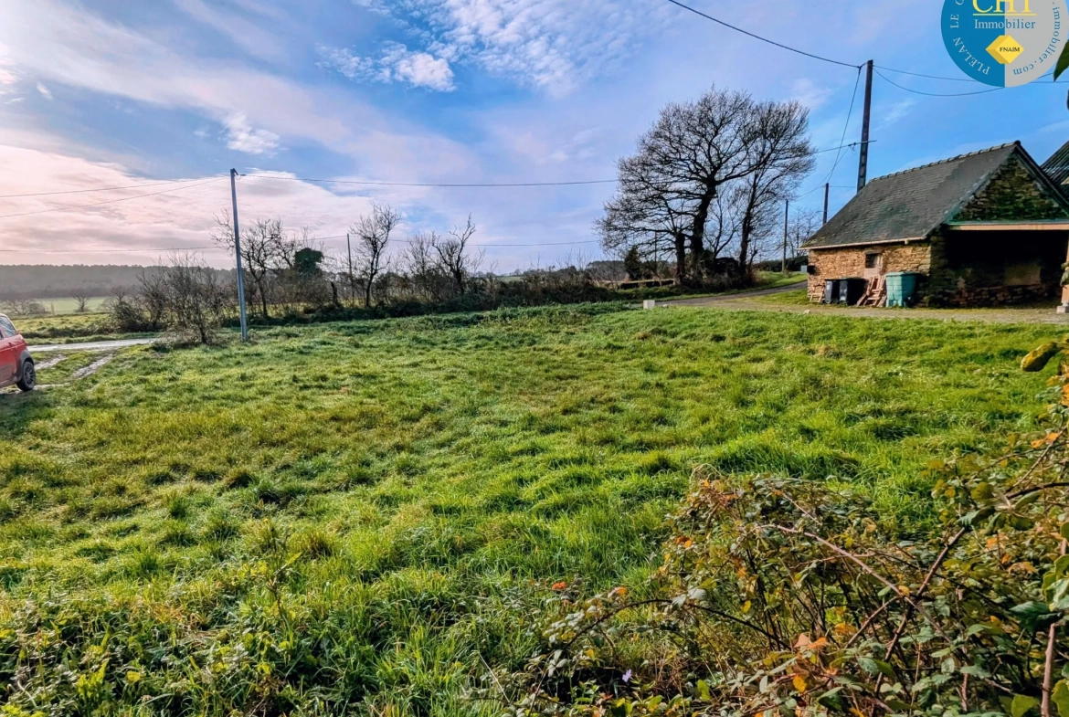 Maison en pierre à rénover à Tréal - Terrain arboré de 3750 m² 