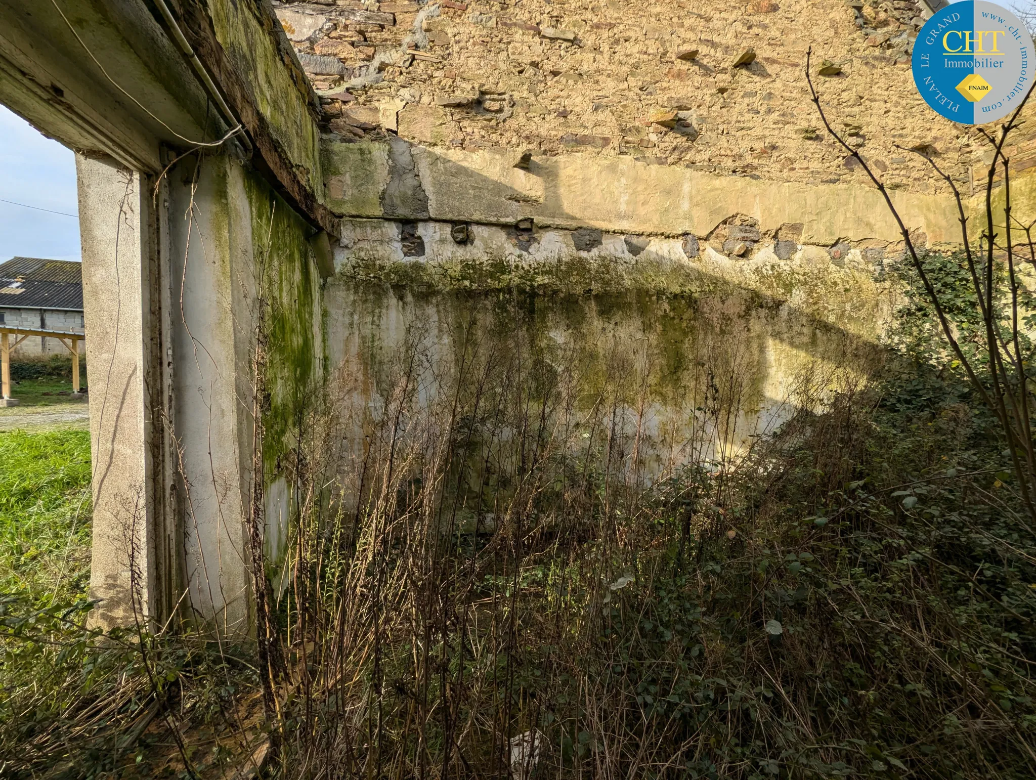 Maison en pierre à rénover à Tréal - Terrain arboré de 3750 m² 