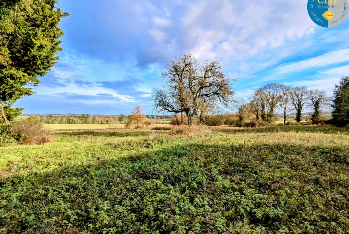 Maison en pierre à rénover à Tréal - Terrain arboré de 3750 m² 