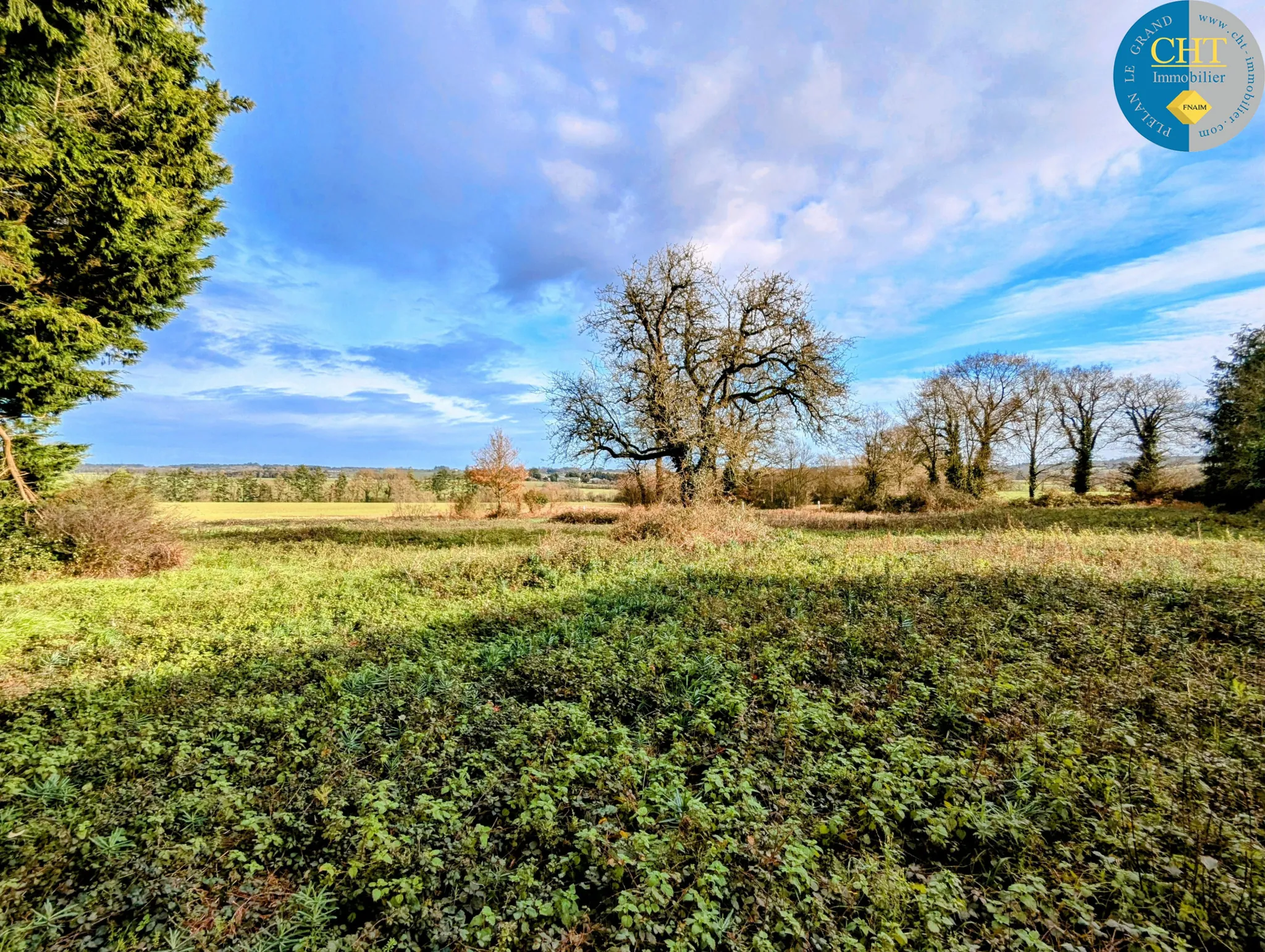 Maison en pierre à rénover à Tréal - Terrain arboré de 3750 m² 