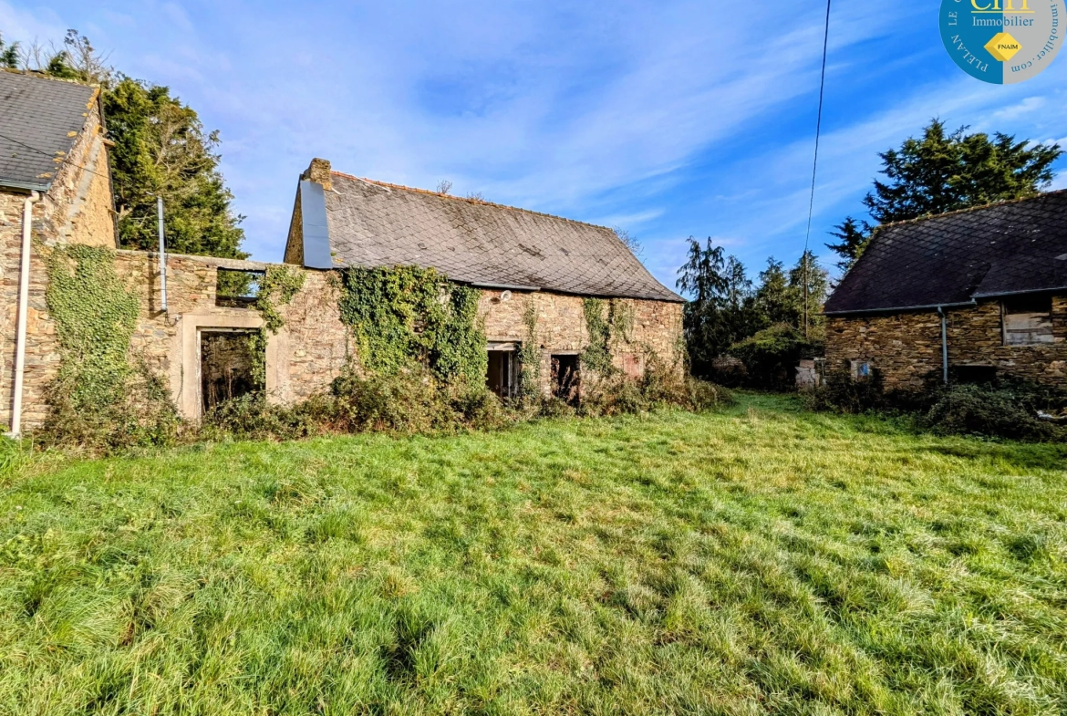 Maison en pierre à rénover à Tréal - Terrain arboré de 3750 m² 