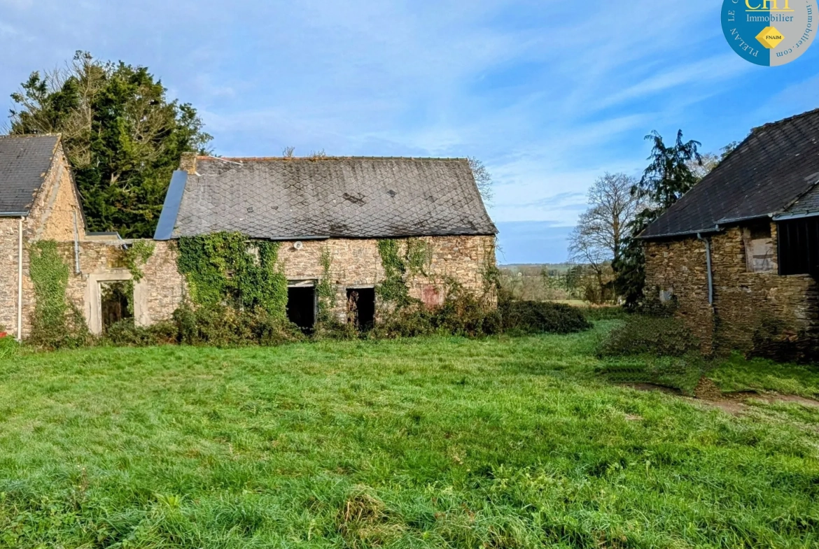 Maison en pierre à rénover à Tréal - Terrain arboré de 3750 m² 