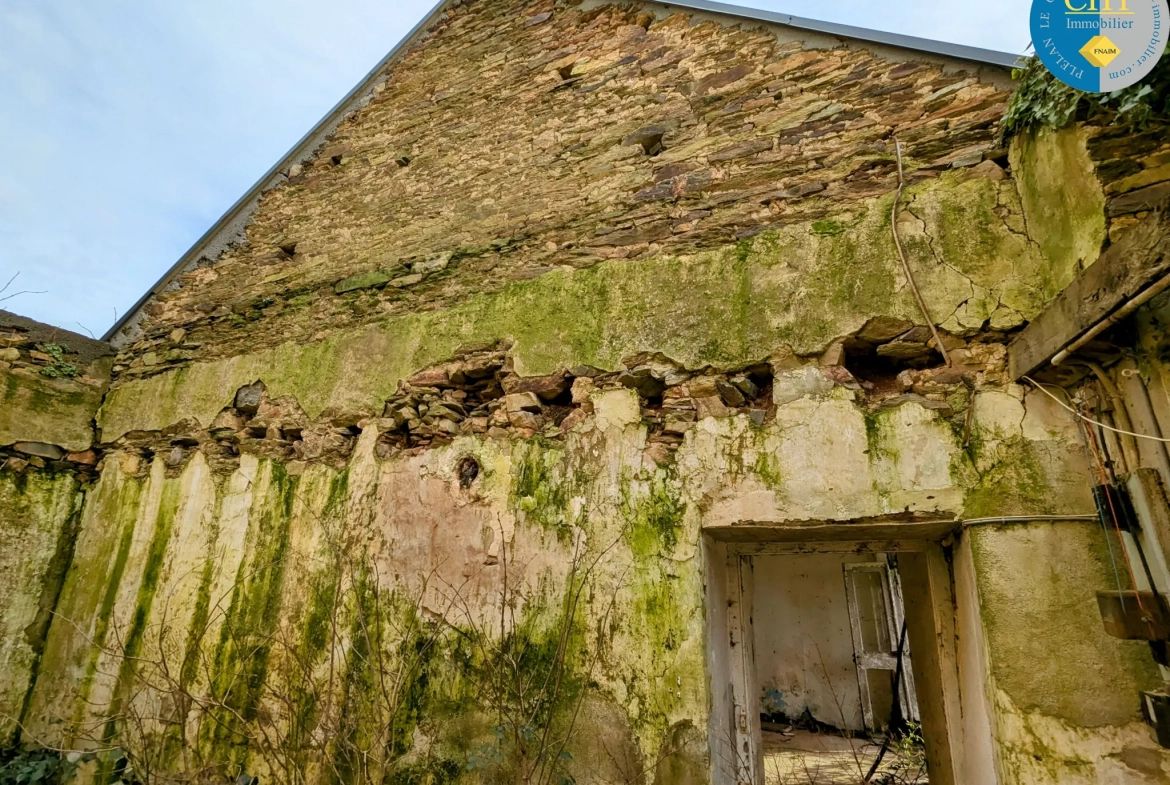 Maison en pierre à rénover à Tréal - Terrain arboré de 3750 m² 