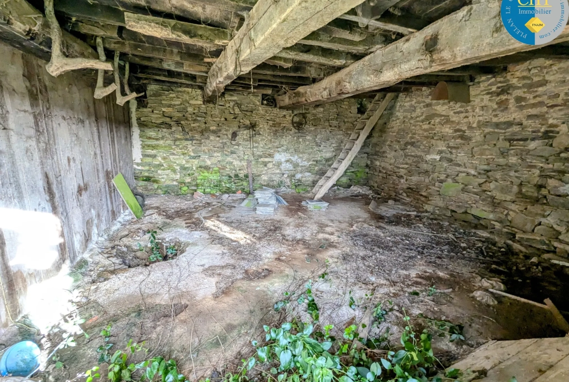 Maison en pierre à rénover à Tréal - Terrain arboré de 3750 m² 