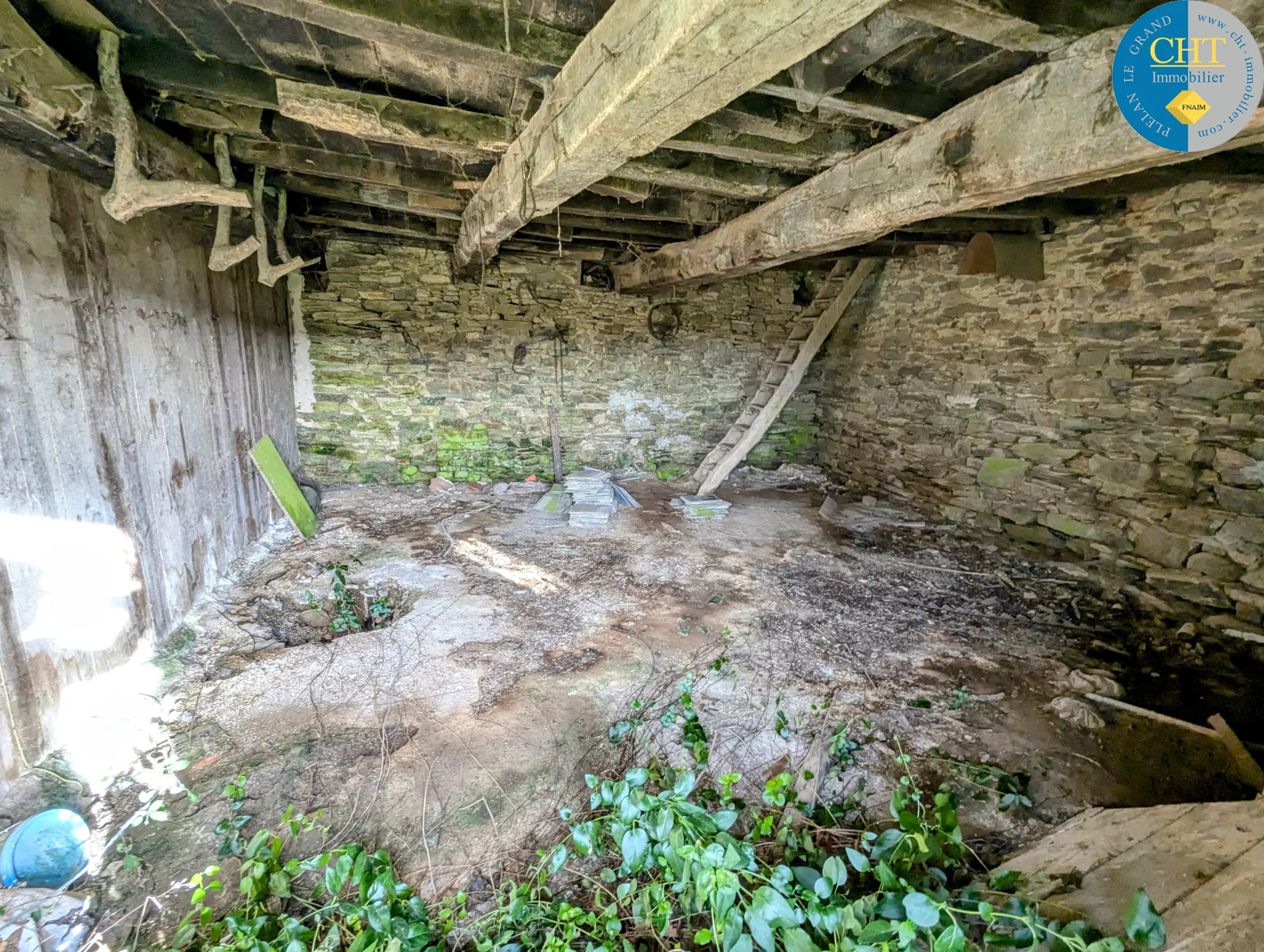 Maison en pierre à rénover à Tréal - Terrain arboré de 3750 m² 