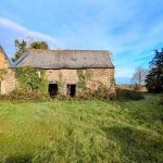 Maison en pierre à rénover à Tréal - Terrain arboré de 3750 m²