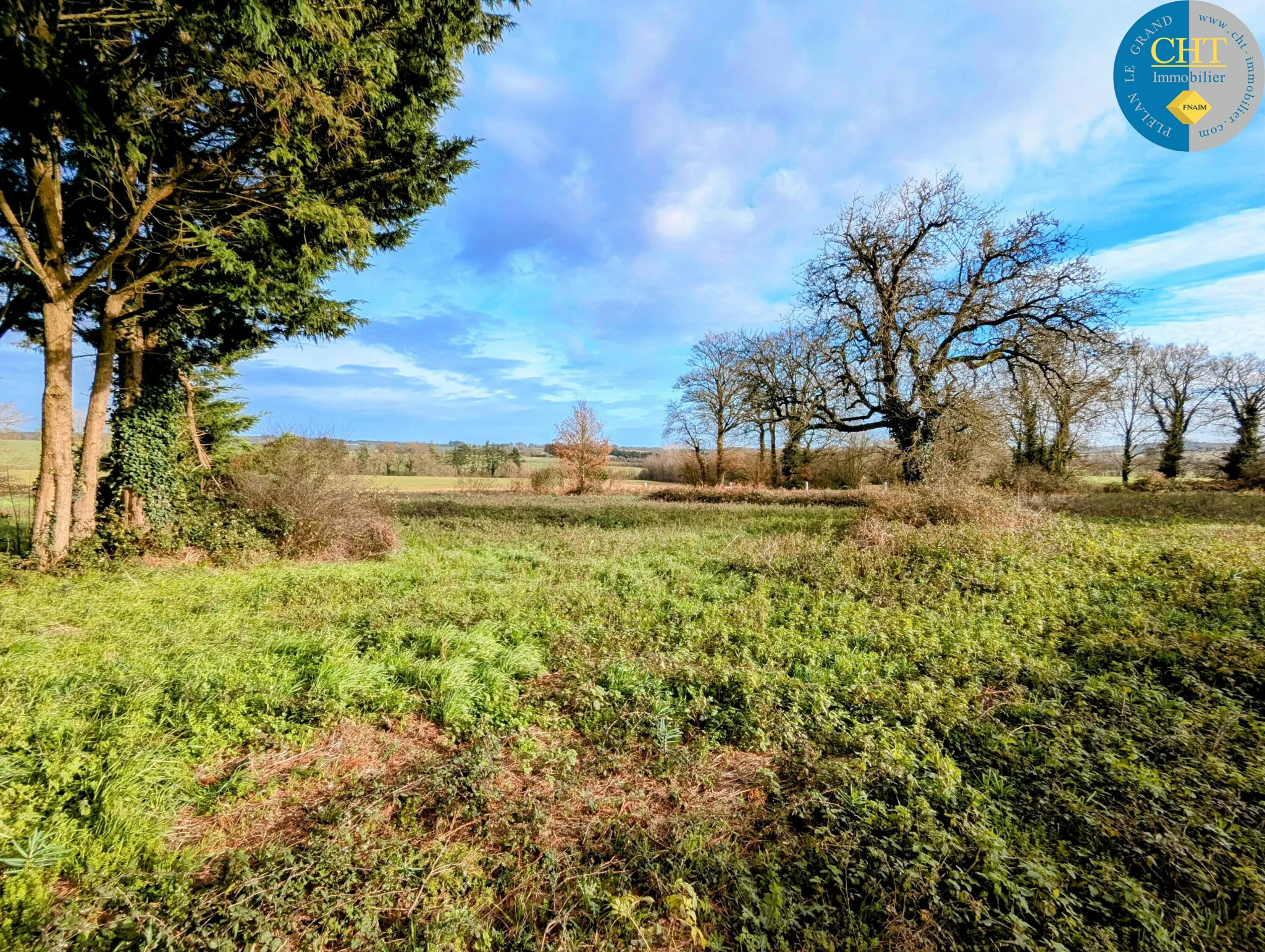 Maison en pierre à rénover à Tréal - Terrain arboré de 3750 m² 