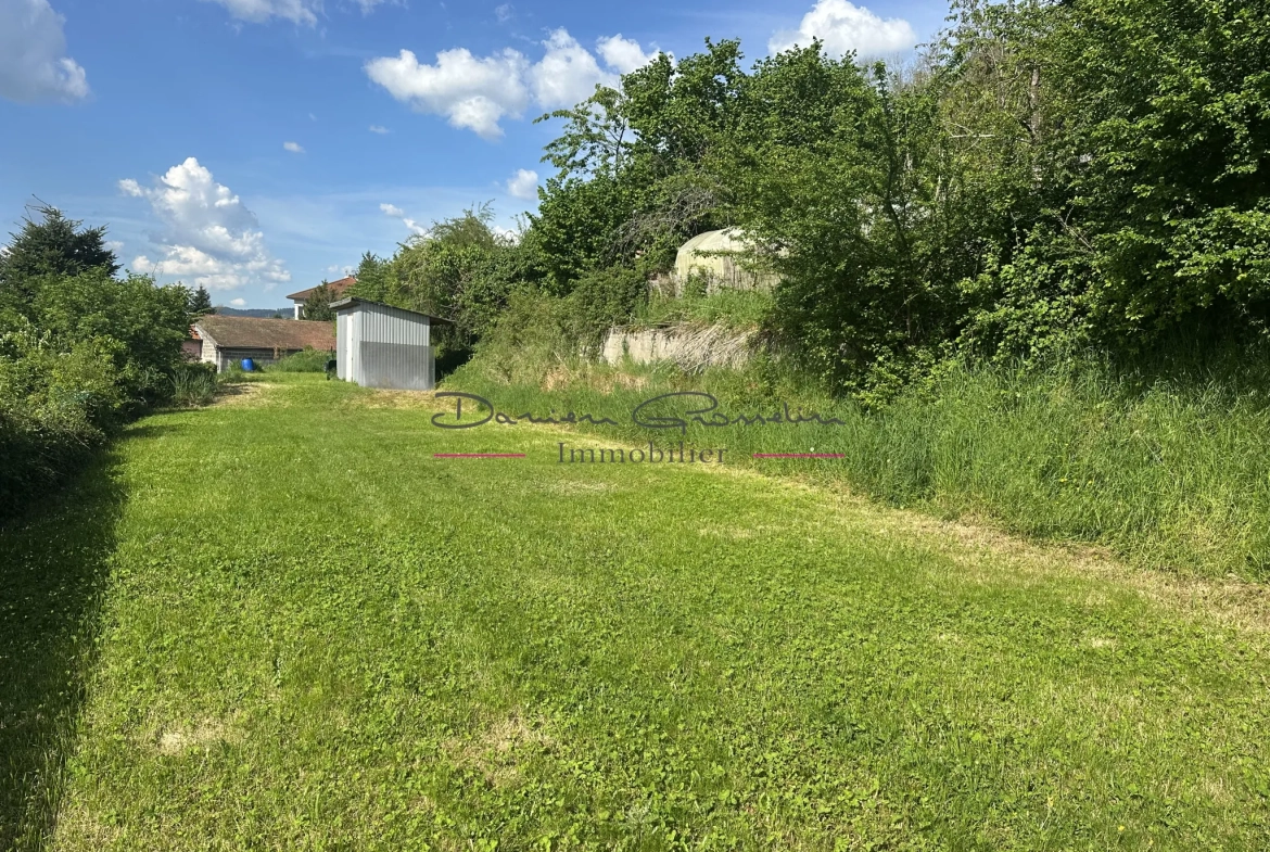 Charmante maison de 88 m² avec terrain à Thizy-les-Bourgs - idéal premier achat 