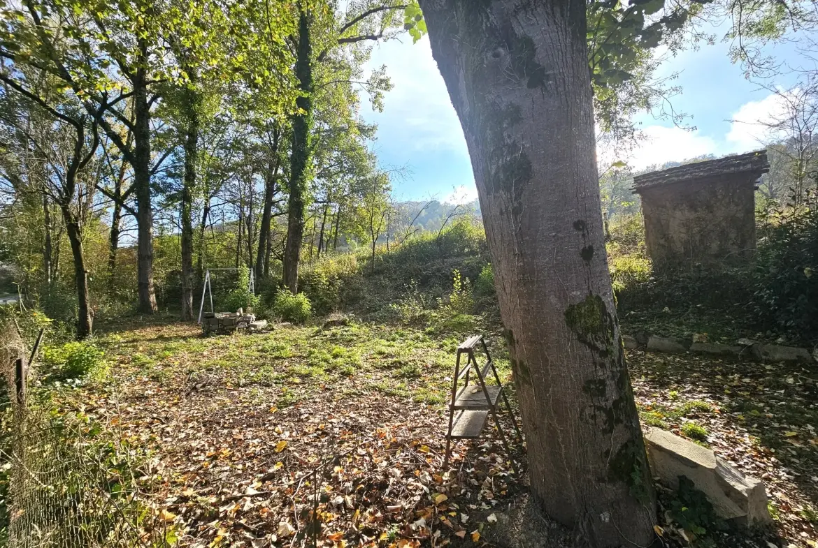 Maison à rénover entre Saint-Juéry et Ambialet, 100 m² sur 964 m² de terrain 