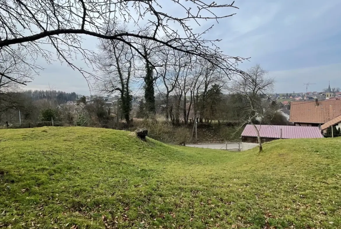 Terrain à bâtir de 87 ares sur les hauteurs d'Heimersdorf 