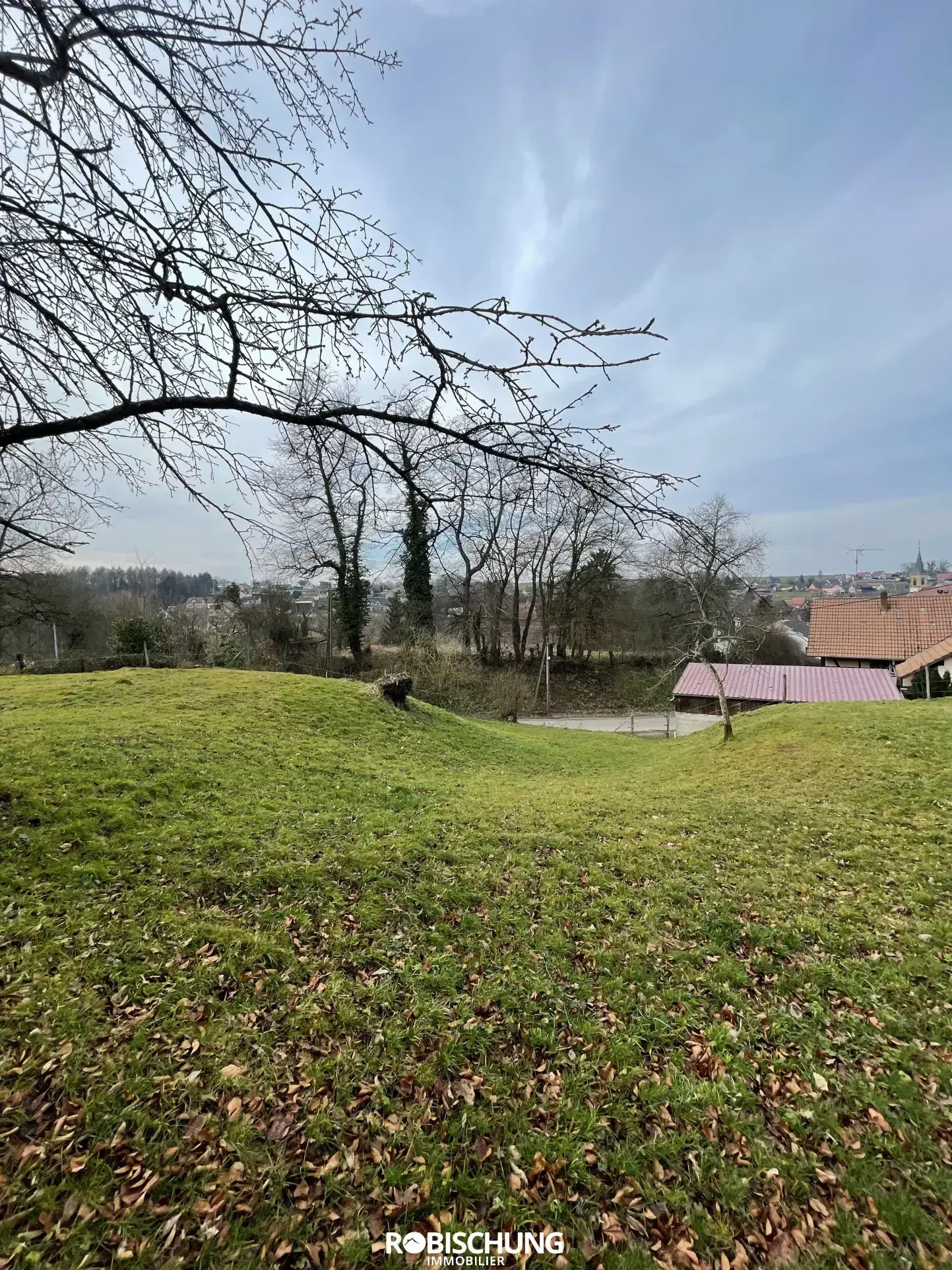 Terrain à bâtir de 87 ares sur les hauteurs d'Heimersdorf 