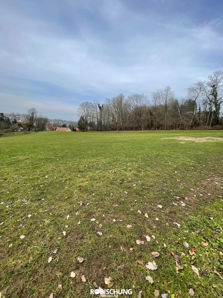 Terrain à bâtir de 87 ares sur les hauteurs d'Heimersdorf
