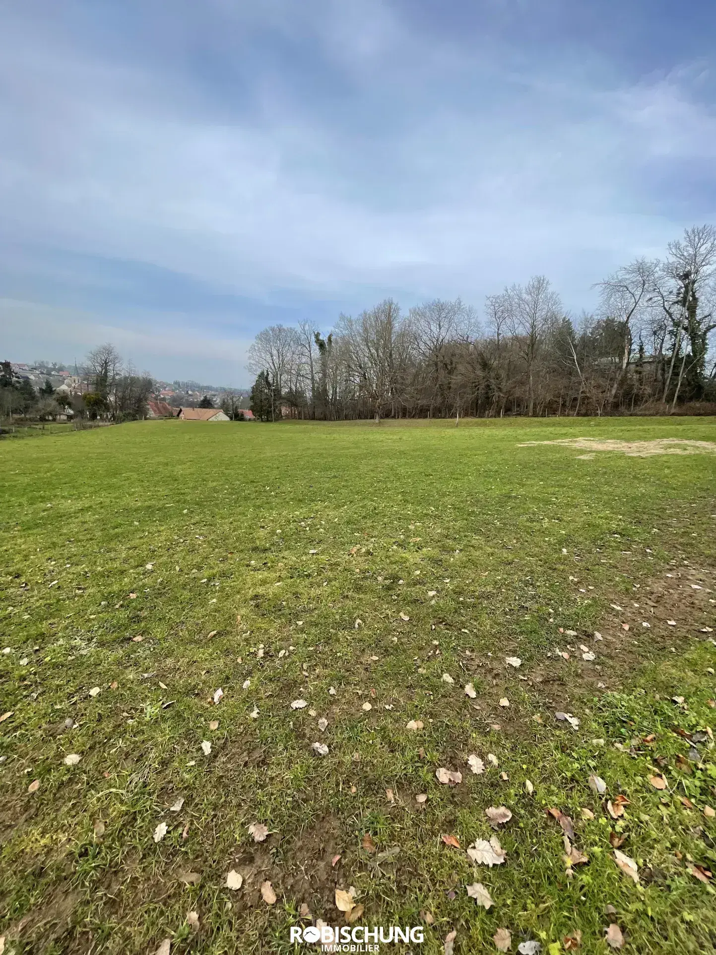 Terrain à bâtir de 87 ares sur les hauteurs d'Heimersdorf 