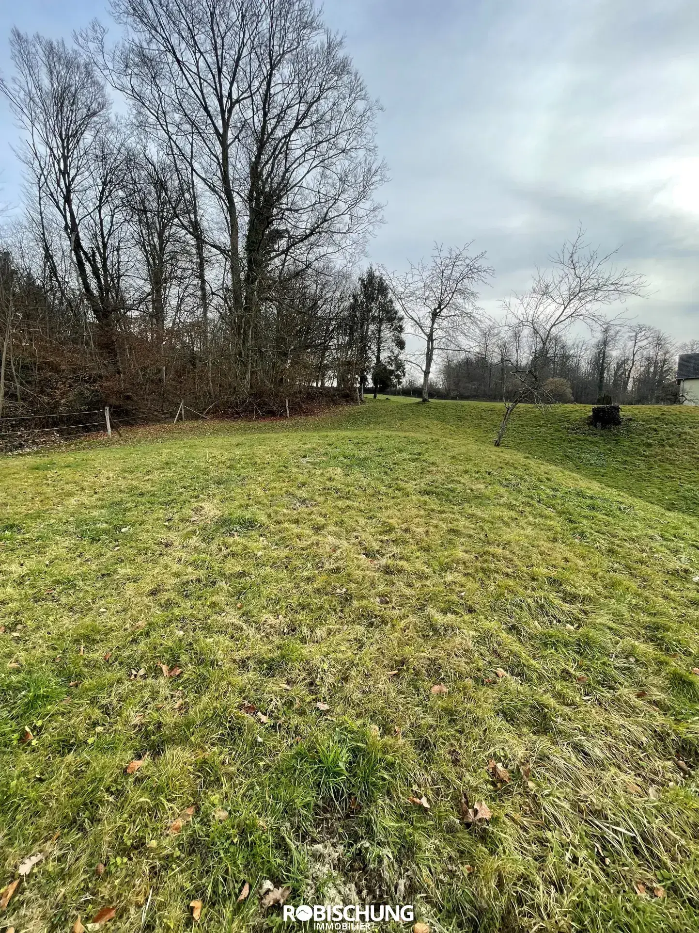 Terrain à bâtir de 87 ares sur les hauteurs d'Heimersdorf 