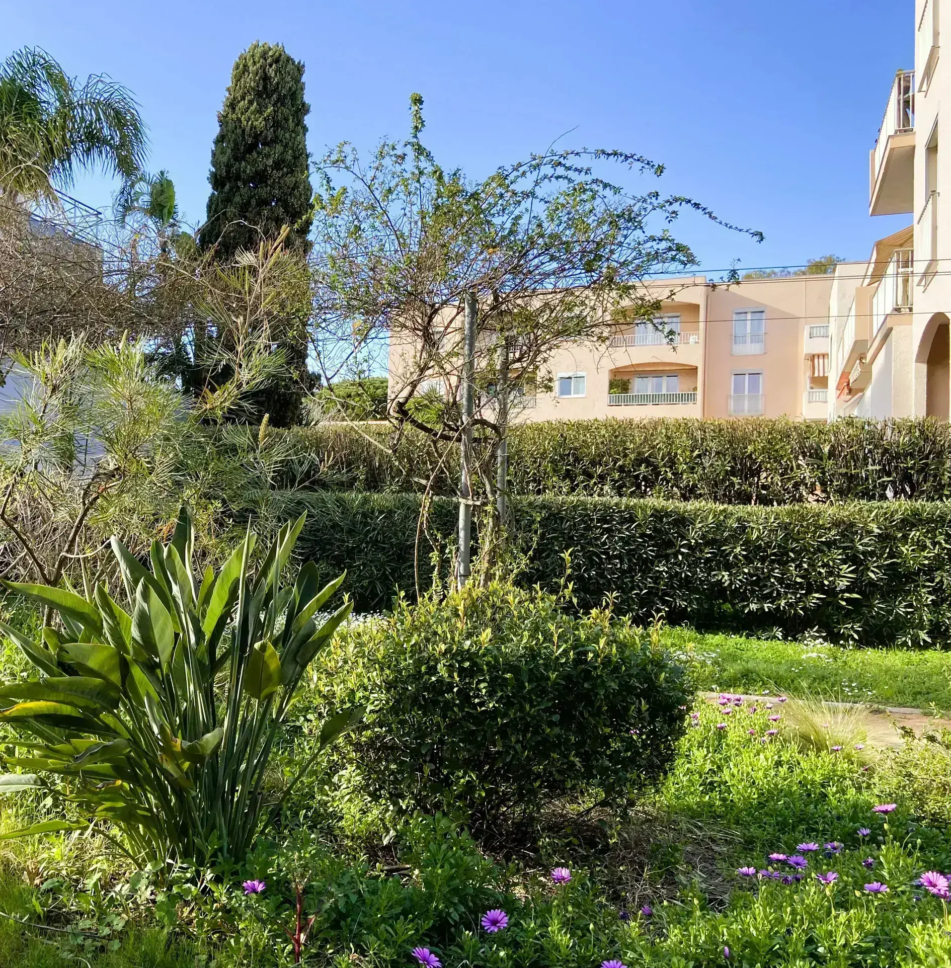 Bel appartement de 62m² avec balcon et parking à La Londe-les-Maures 