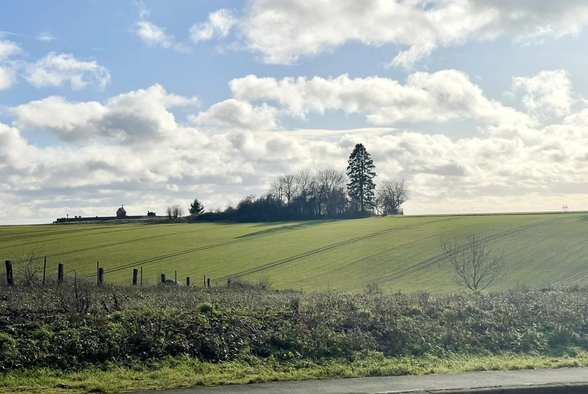 Terrain à bâtir à Malavillers - 1743 m² avec étude de sol prête 