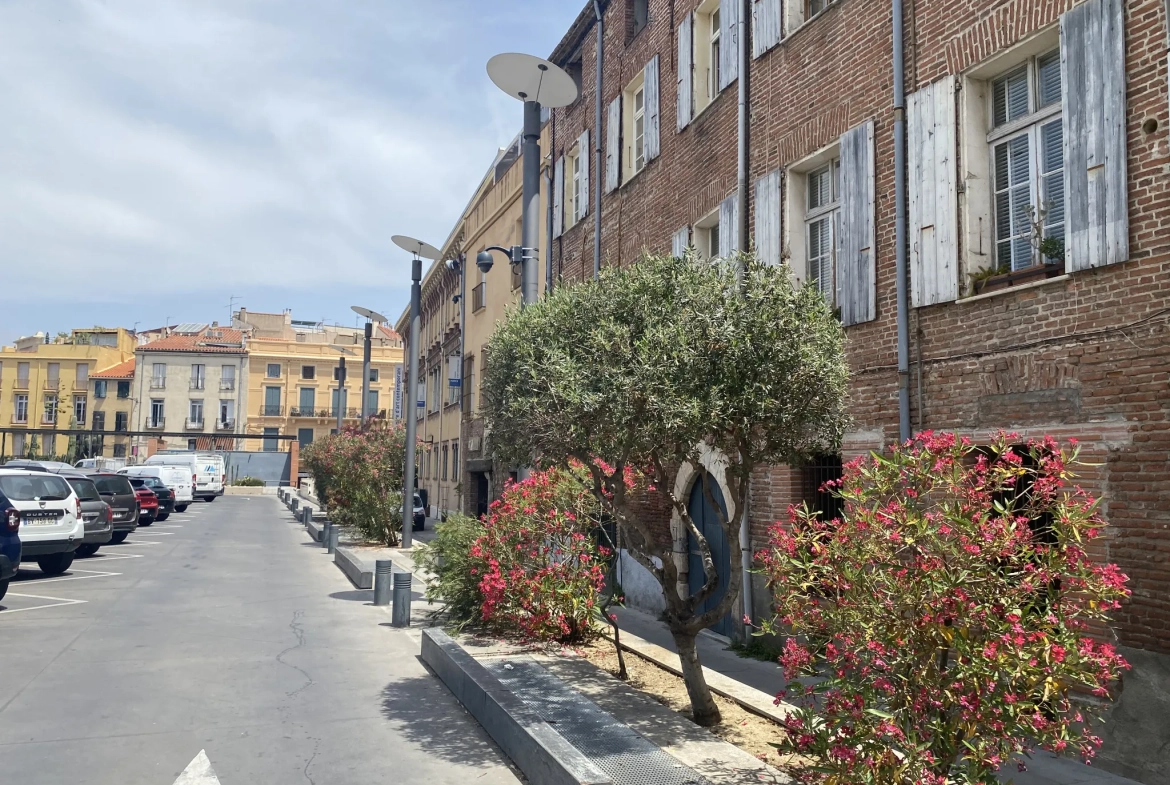 Appartement atypique avec terrasse au dernier étage à Perpignan en centre-ville 