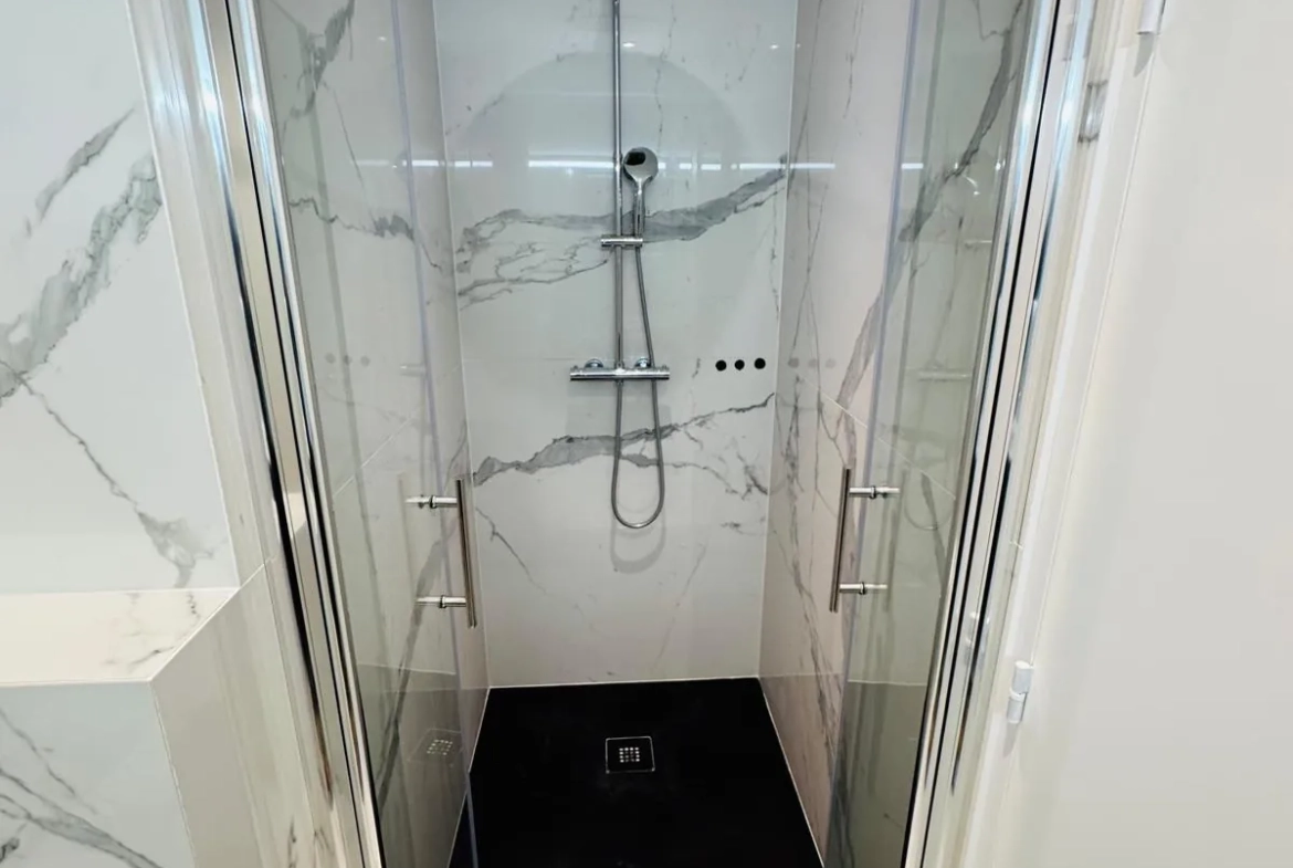 À vendre à Grenoble : Magnifique appartement T3 rénové de 67 m² proche centre-ville 