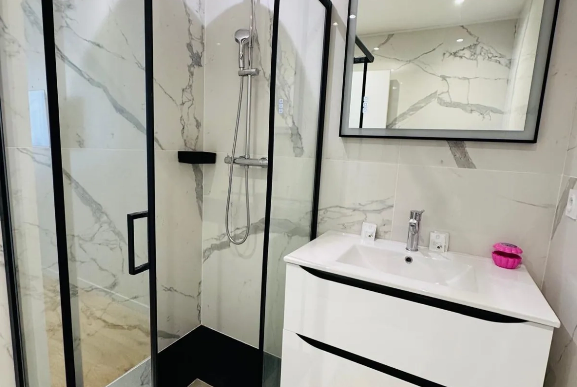 À vendre à Grenoble : Magnifique appartement T3 rénové de 67 m² proche centre-ville 