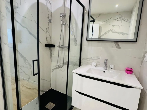 À vendre à Grenoble : Magnifique appartement T3 rénové de 67 m² proche centre-ville 