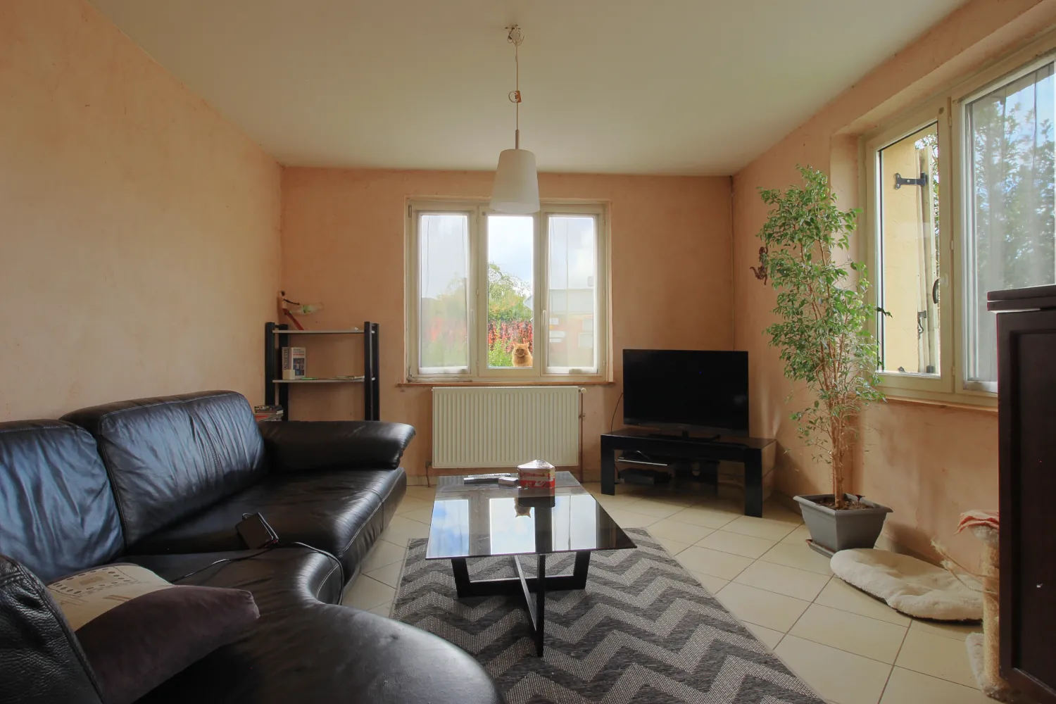 Belle maison à vendre à Lemoncourt avec grand terrain et potentiel 