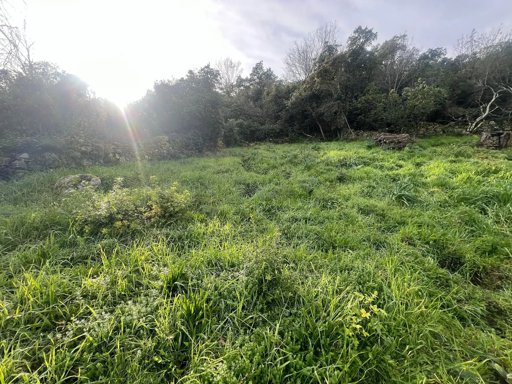 Terrain avec vue mer à vendre à Sari Solenzara - 1193 m² avec permis de construire 