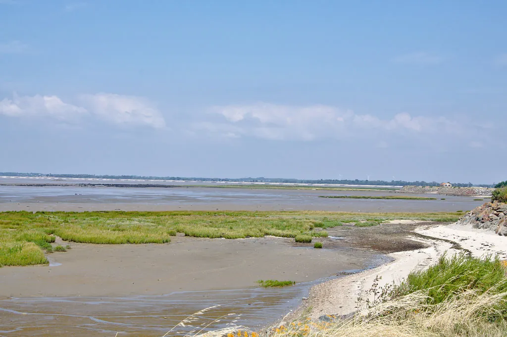 Longère vendéenne à Bouin près de la mer avec jardin et potentiellement rénovée 