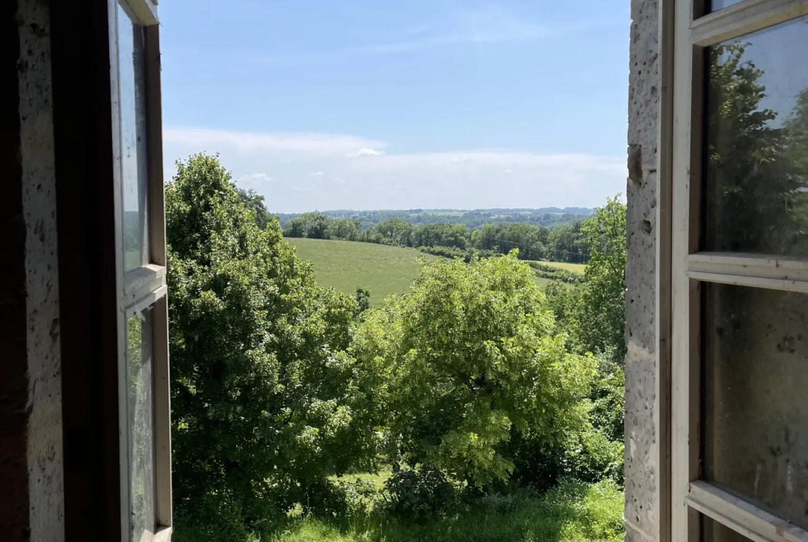 Charmante maison gasconne en pierre avec grand terrain à Moncrabeau 