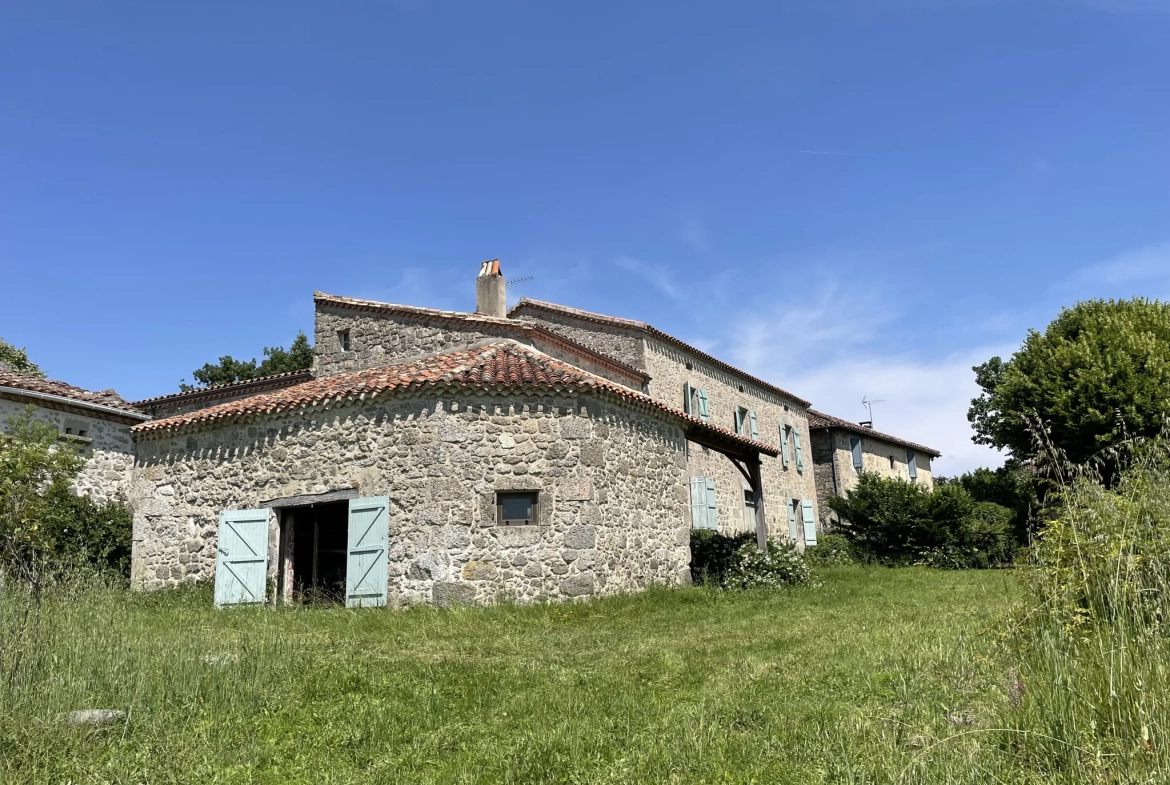 Charmante maison gasconne en pierre avec grand terrain à Moncrabeau 