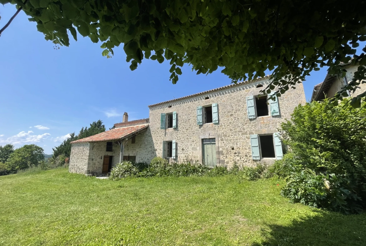 Charmante maison gasconne en pierre avec grand terrain à Moncrabeau 