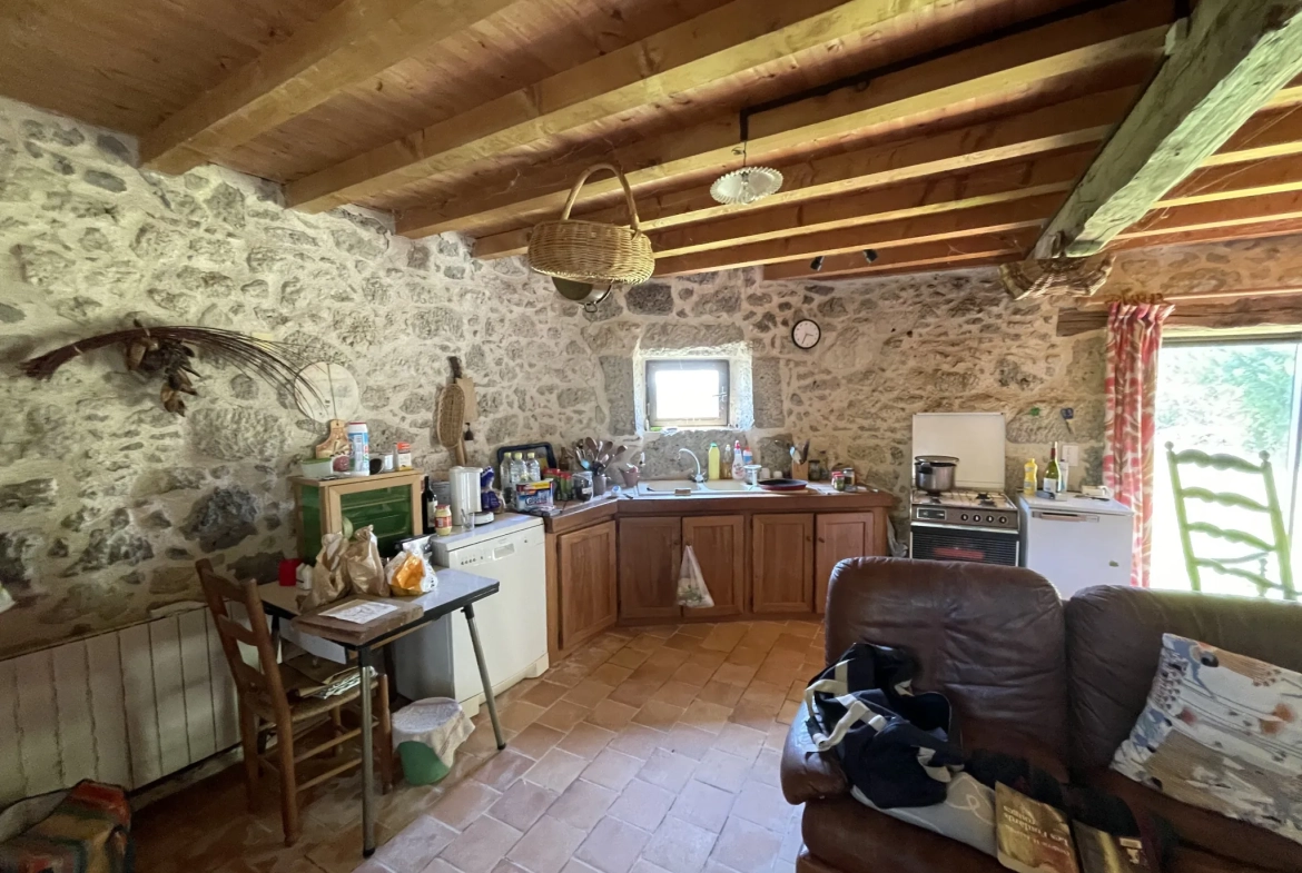 Charmante maison gasconne en pierre avec grand terrain à Moncrabeau 