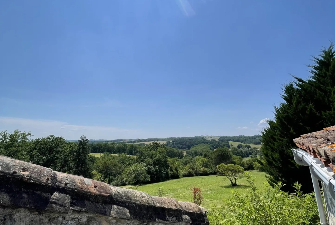 Charmante maison gasconne en pierre avec grand terrain à Moncrabeau 