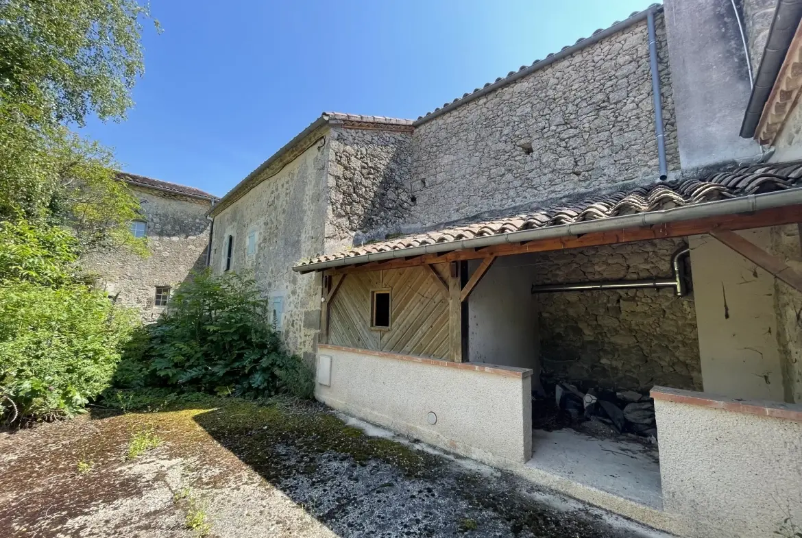 Charmante maison gasconne en pierre avec grand terrain à Moncrabeau 