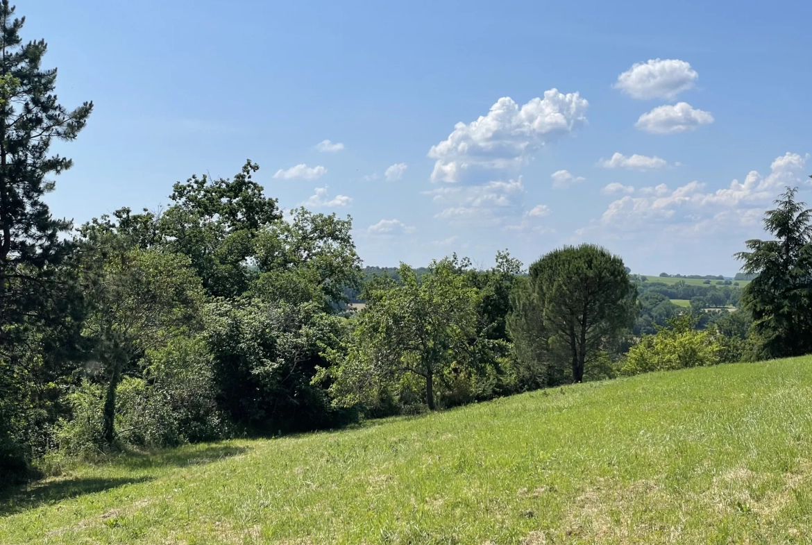 Charmante maison gasconne en pierre avec grand terrain à Moncrabeau 