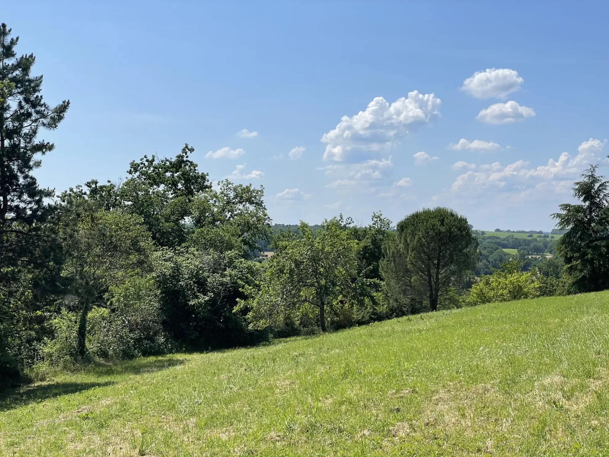 Charmante maison gasconne en pierre avec grand terrain à Moncrabeau 