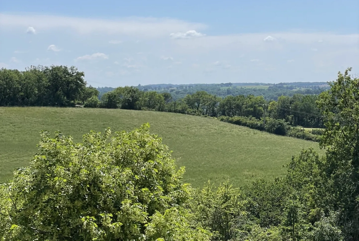 Charmante maison gasconne en pierre avec grand terrain à Moncrabeau 
