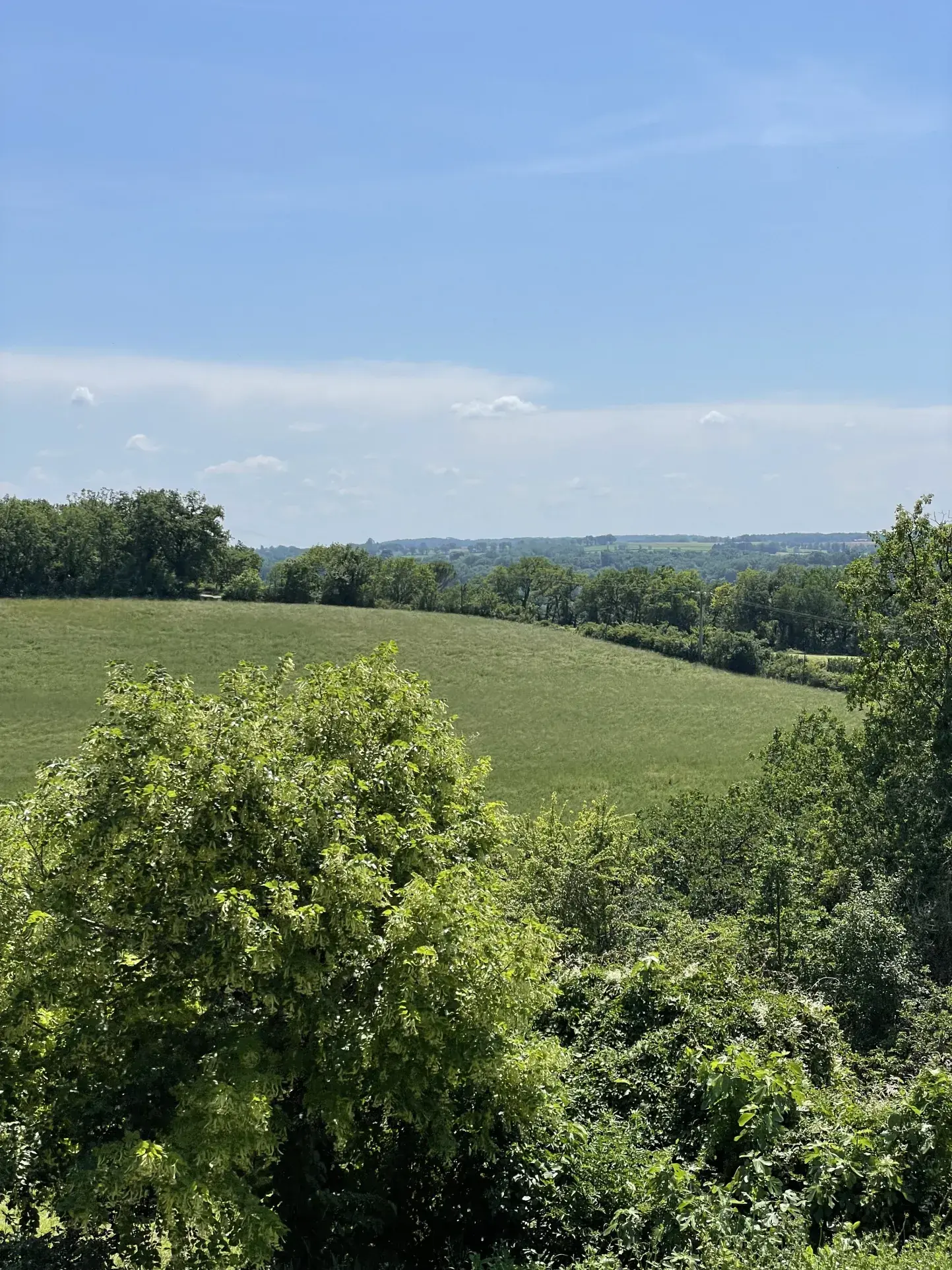Charmante maison gasconne en pierre avec grand terrain à Moncrabeau 