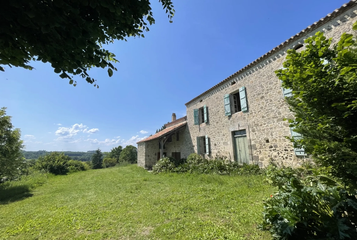 Charmante maison gasconne en pierre avec grand terrain à Moncrabeau 