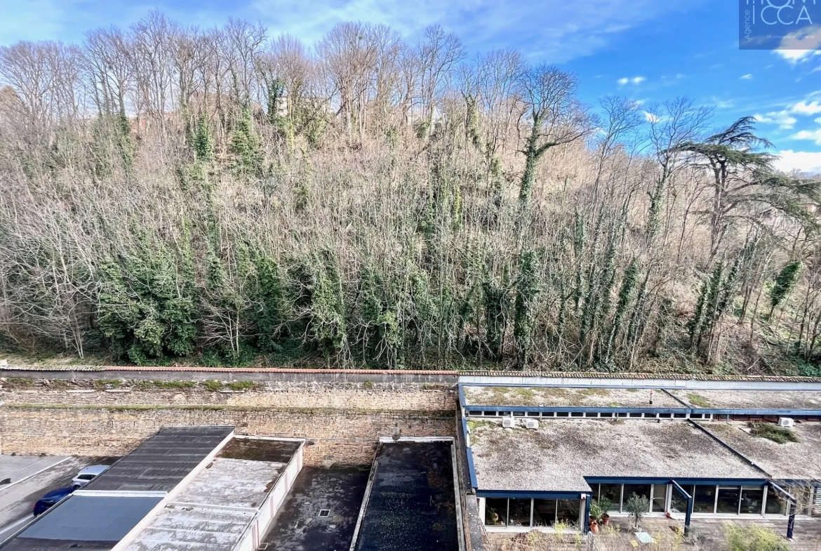 A vendre Grand T2 avec vue panoramique sur la Saône à Lyon 4e quai Joseph Gillet 