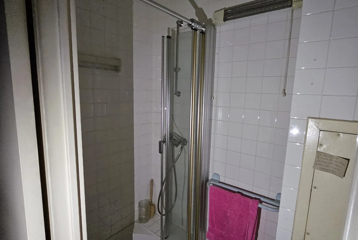 Appartement 100 m² en centre-ville de Vierzon avec parking et mobilier inclus 