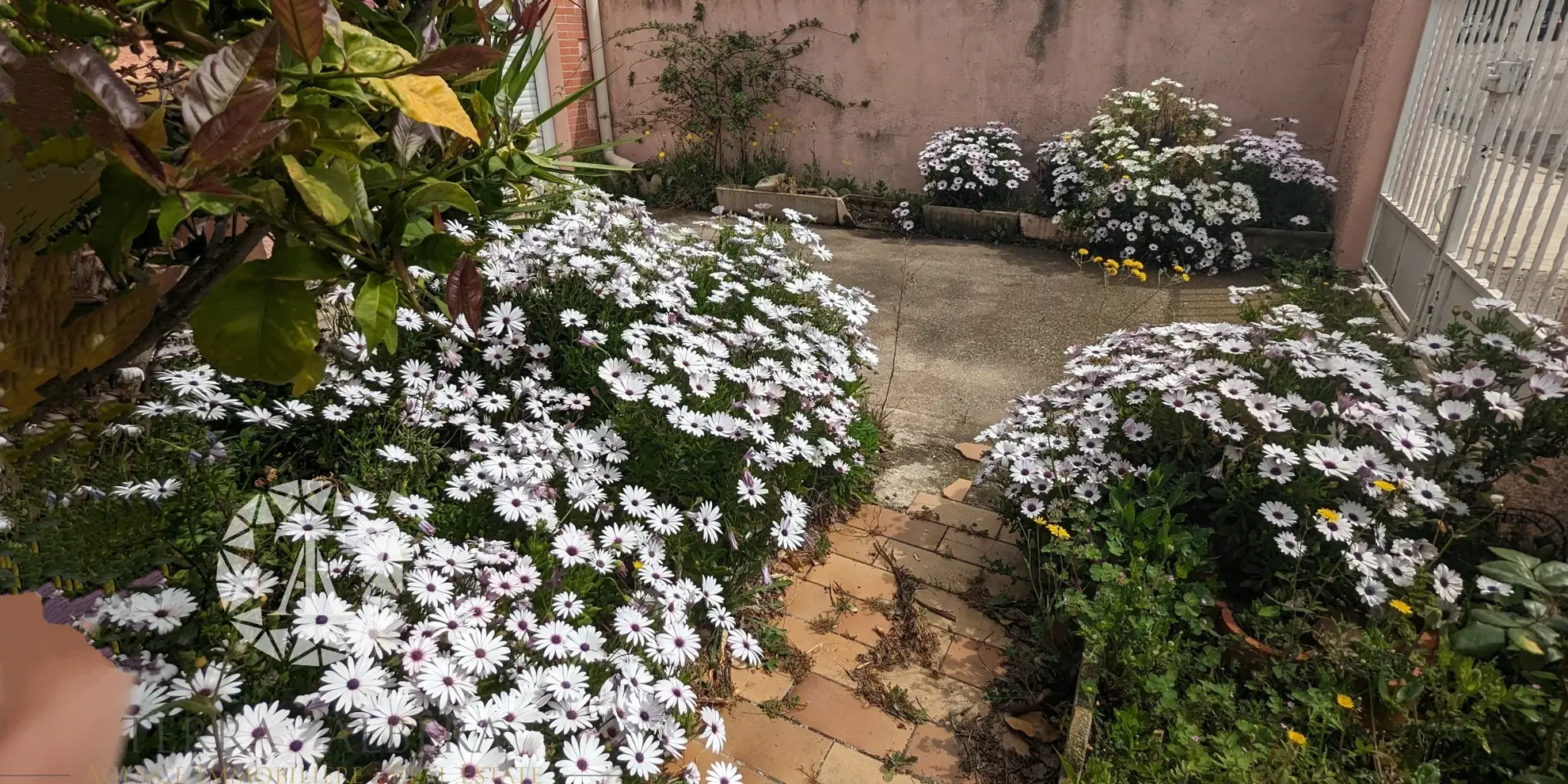 À vendre maison de plain-pied lumineuse avec jardin et garage à Saint-André 