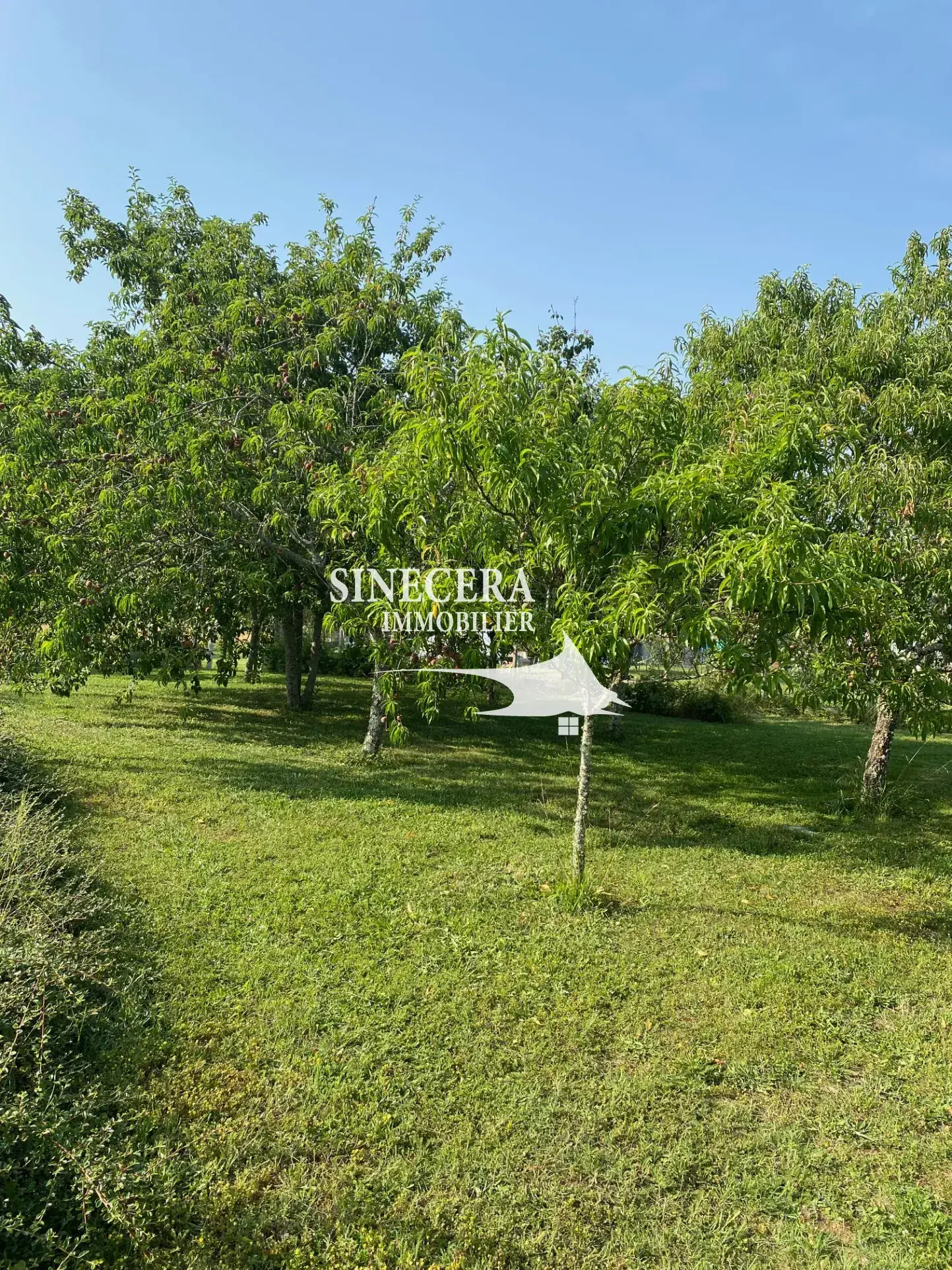 Maison lumineuse de 144 m² avec grand terrain à Riberac 
