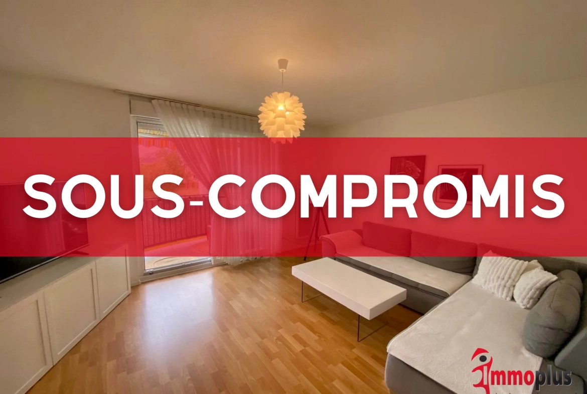 Appartement 2 pièces à Saint-Louis Bourgfelden avec terrasse et parking 