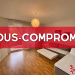 Appartement 2 pièces à Saint-Louis Bourgfelden avec terrasse et parking