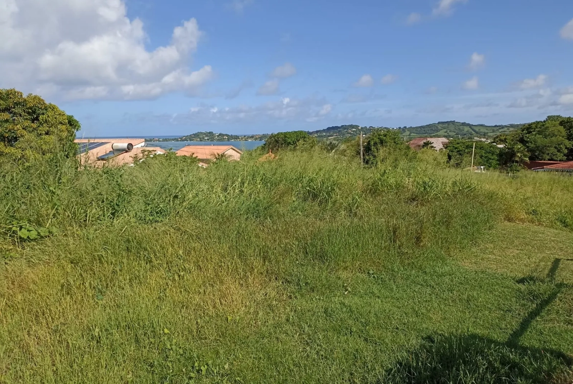 Terrain plat de 779 m² avec vue mer au François – Opportunité à saisir 