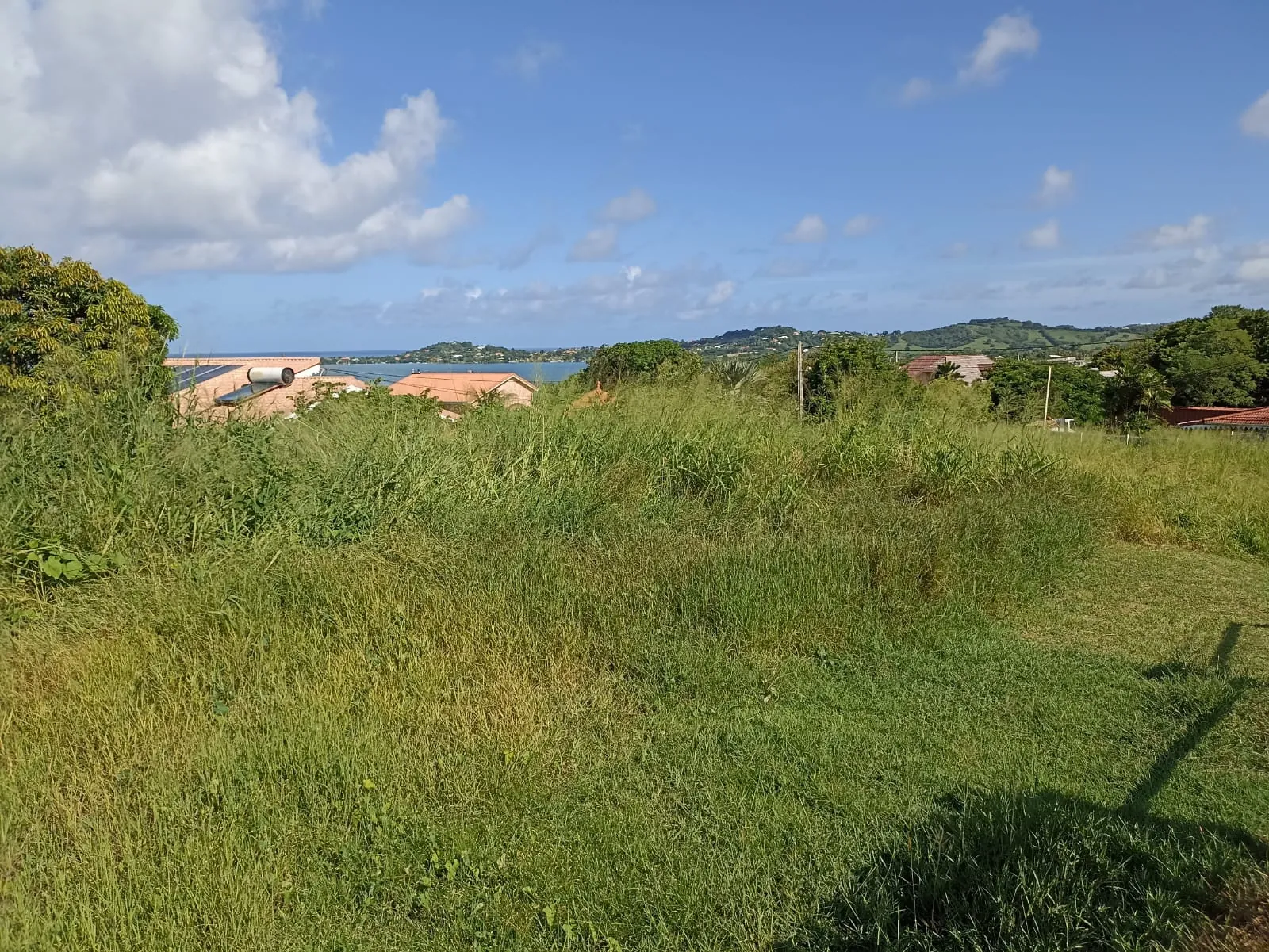 Terrain plat de 779 m² avec vue mer au François – Opportunité à saisir 